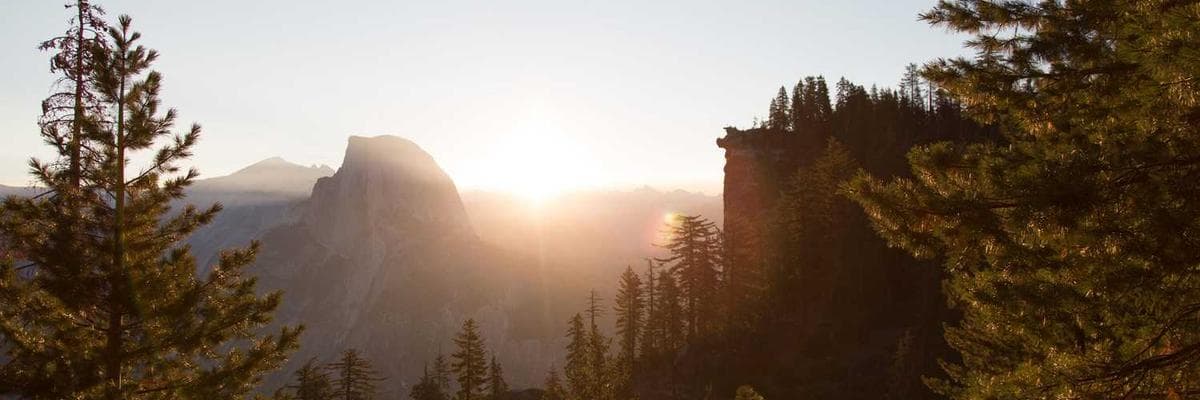 Liam & Olivia's Wedding banner