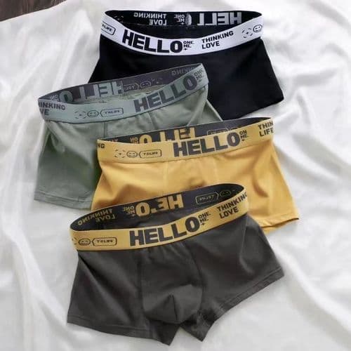 4 Pcs Men Underwear Boxers
